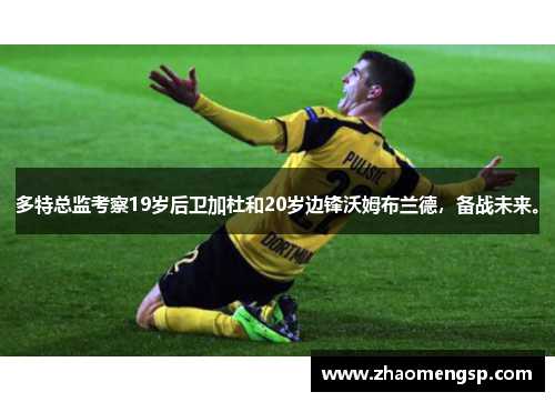 多特总监考察19岁后卫加杜和20岁边锋沃姆布兰德，备战未来。